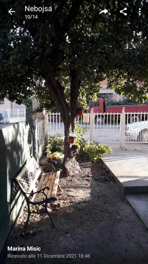 Apartman Milica Požarevac Exteriér fotografie