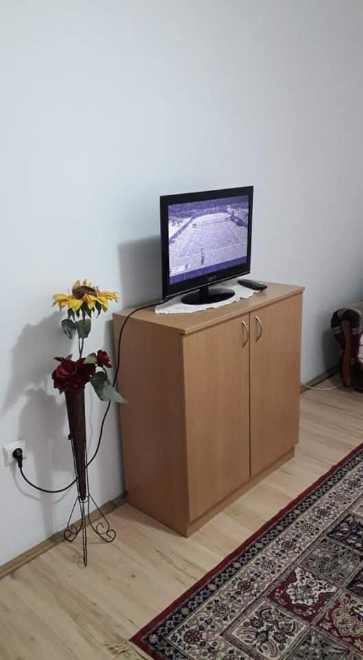 Apartman Milica Požarevac Exteriér fotografie