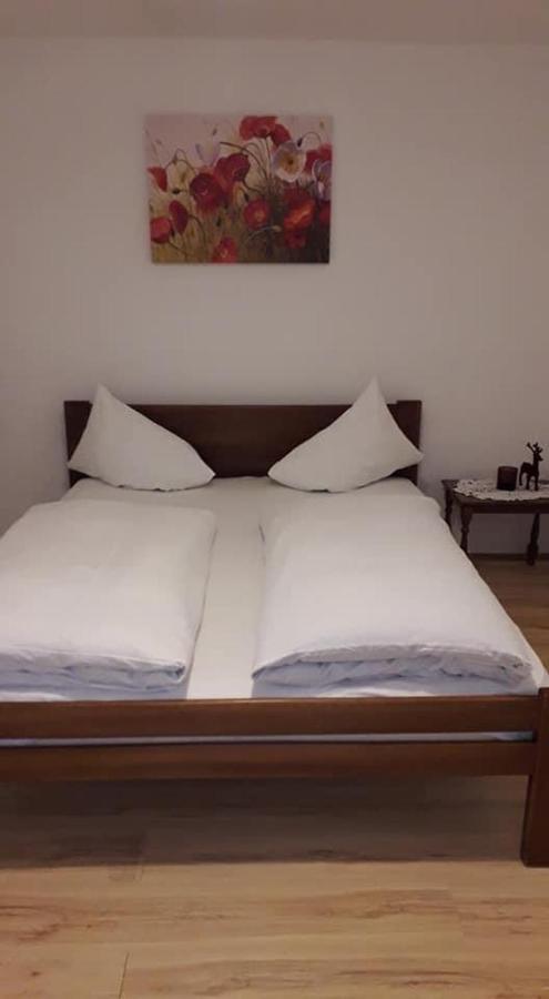 Apartman Milica Požarevac Exteriér fotografie