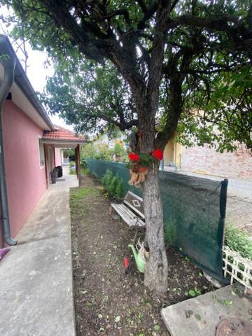 Apartman Milica Požarevac Exteriér fotografie